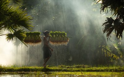Cual es la mejor época para viajar a Indonesia