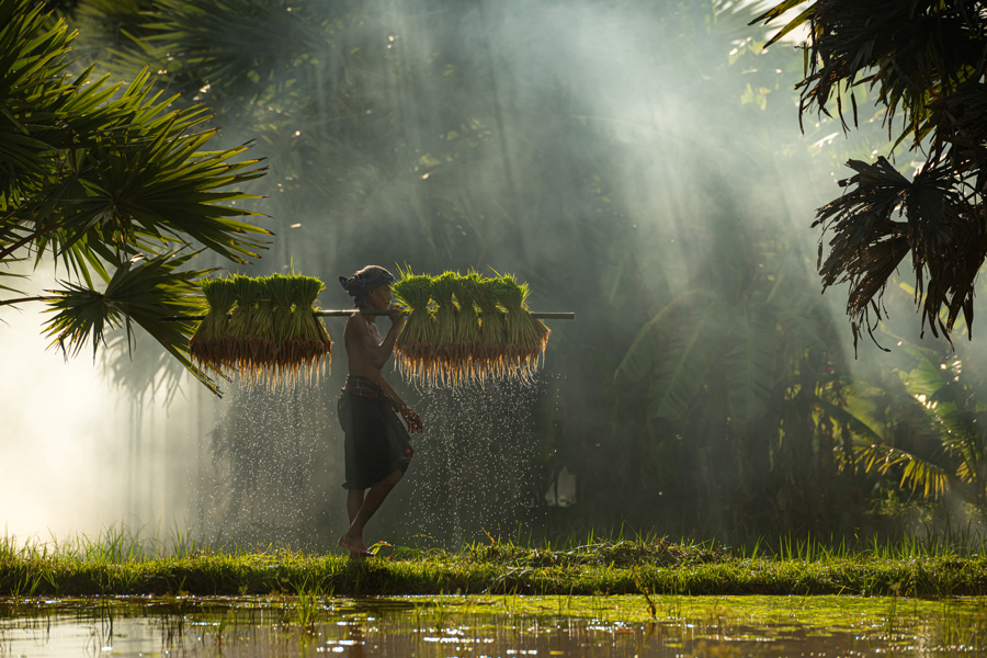 fondo-bali la mejor época para viajar a Indonesia
